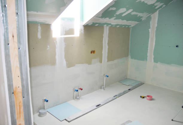 Best Drywall Removal and Disposal  in Merrill, IA